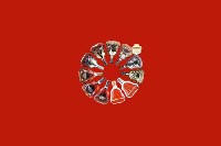 站前回收红酒